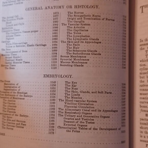 Gray's Anatomy by Henry Gray Paperback Book 1974 - Picture 10 of 11